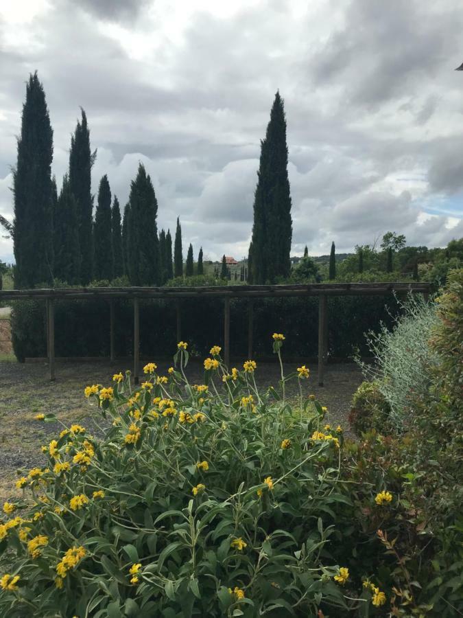 Casa Vacanze "Casale Al Pino" Riparbella Exteriér fotografie